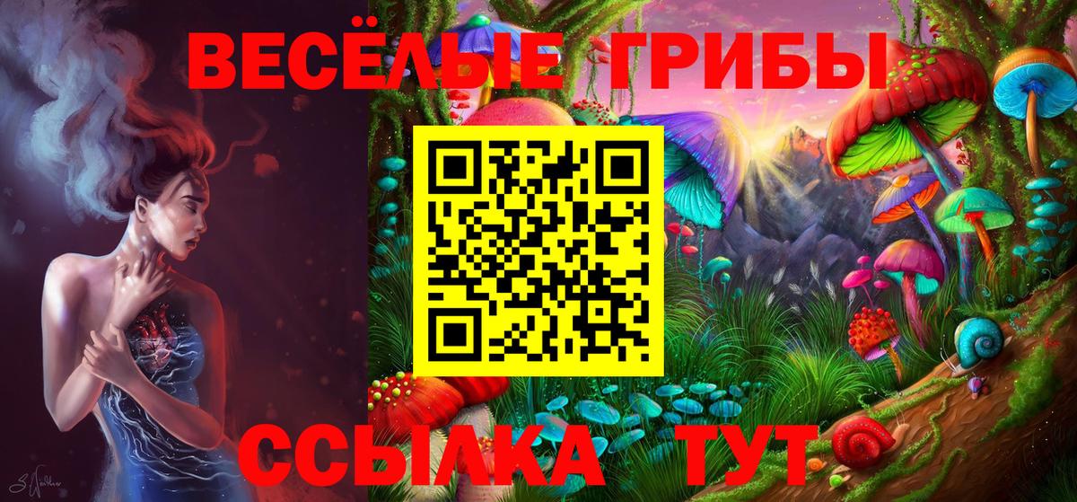 Галлюциногенные грибы прущие грибы Сунжа