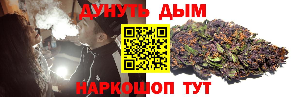 Марихуана план  Шишки марихуана ГИДРОПОН  Вход с VPN  Бошки марихуана Bruce Banner  Сунжа 